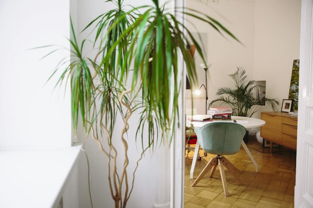 A bright home office with modern furniture and lush houseplants, creating a serene workspace.