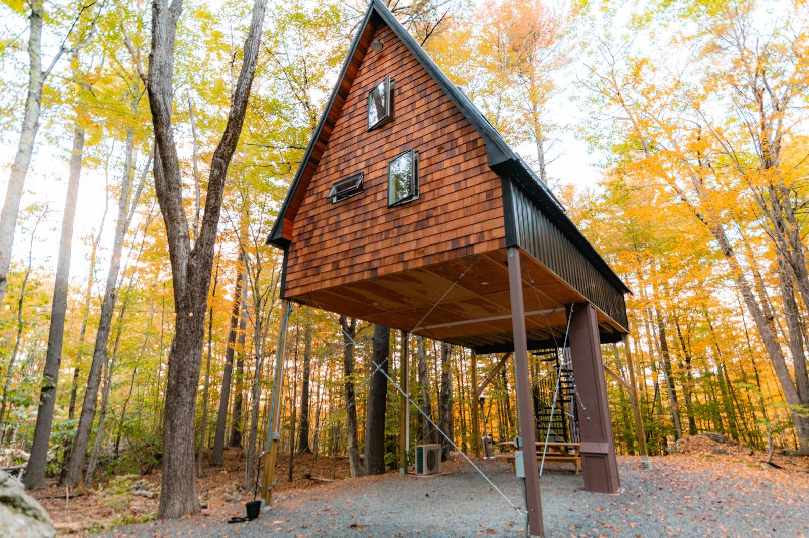 Elevated treehouse cabin amidst vibrant fall foliage in forest setting.